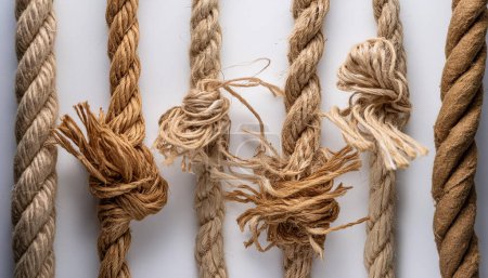 A series of jute ropes showing various stages of fraying against a white backdrop, symbolizing