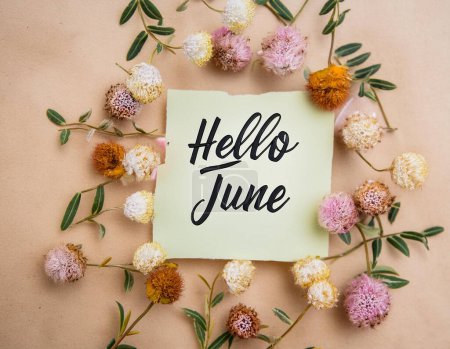 Abstract background with flowers frame around. Hello June - modern calligraphy lettering.