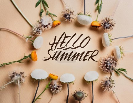 Abstract background with flowers frame around. Hello Summer - modern calligraphy lettering