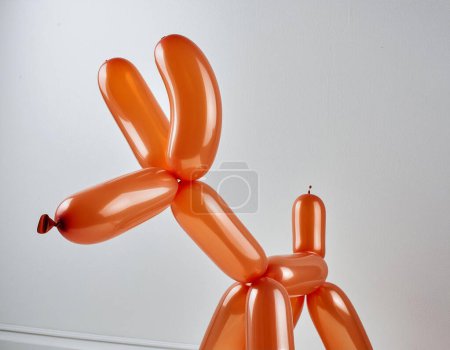 Ein orangefarbener Luftballon in Form eines verspielten Hundes vor weißem Hintergrund