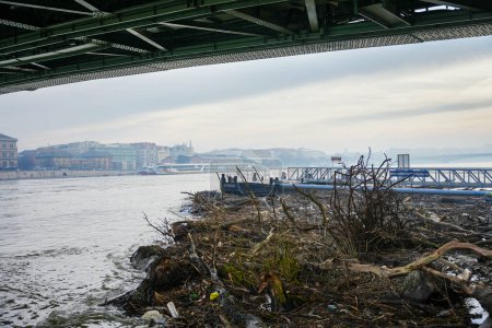 Photo for Budapest, Hungary - December 30, 2023: Tree debris stuck under Liberty bridge in in Danube after flooding. - Royalty Free Image