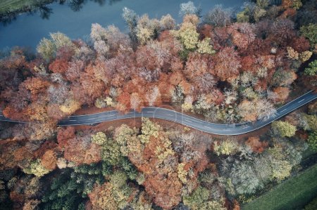 Foto de Vista aérea del camino forestal en hermoso otoño. Detalles de caminos de montaña con paisajes coloridos y árboles amarillos - Imagen libre de derechos