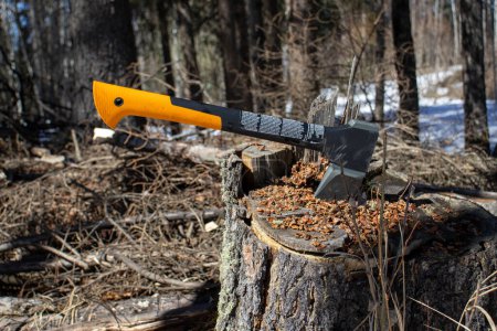 This image showcases a sturdy yellow and black axe firmly lodged in a tree stump, suggesting recent or ongoing woodcutting activity in a rustic, natural setting.