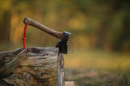 Photo for Tourist ax in a wooden log close-up. - Royalty Free Image