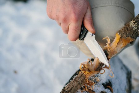 Téléchargez les photos : Un homme prépare la laine de bois avec un couteau pour allumer un feu dans une forêt d'hiver au coucher du soleil. Concept de survie hivernale. - en image libre de droit