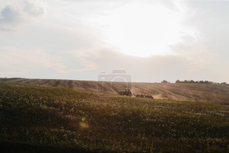 Photo for A modern tractor with a heavy trailed disc harrow plows a wheat field at sunset. - Royalty Free Image