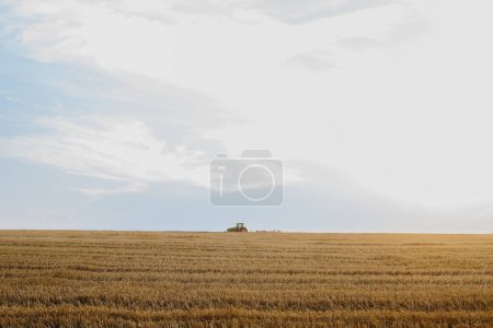 Photo for A modern tractor with a heavy trailed disc harrow plows a wheat field at sunset. - Royalty Free Image