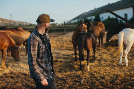 Téléchargez les photos : Un jeune fermier près d'un troupeau de chevaux dans une ferme. Portrait d'un jeune homme barbu sur fond de chevaux au coucher du soleil. - en image libre de droit