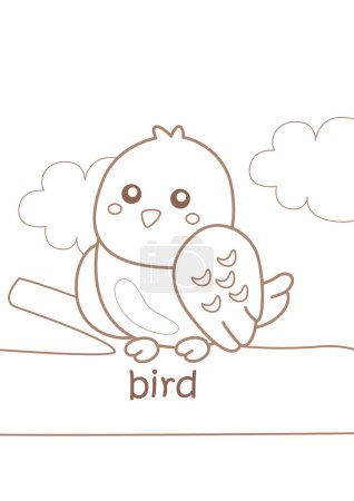 Alphabet B Pour le Vocabulaire des Oiseaux Leçon scolaire Coloriages de dessins animés Activité pour enfants et adultes