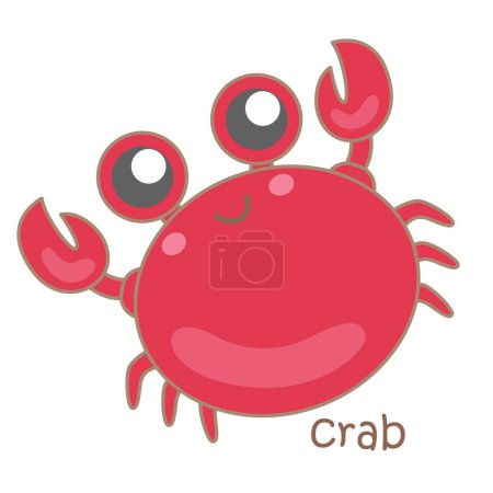 Alphabet C For Crab Vocabulary School Lesson Cartoon Illustration Vector Clipart Sticker Decoration Background