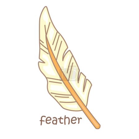 Alphabet F For Feather Vocabulary School Lesson Cartoon Illustration Vector Clipart Sticker Decoration Background