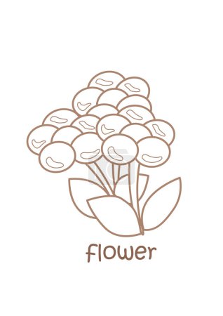 Alfabeto F para flores Vocabulario Escuela lección Dibujos animados para colorear Actividad para niños y adultos