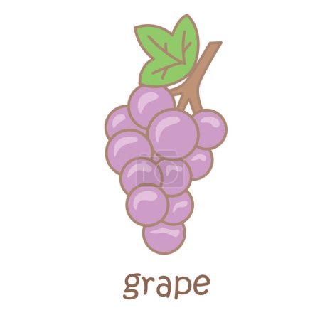 Alphabet G For Grape Vocabulary School Lesson Cartoon Illustration Vector Clipart Sticker Decoration Background