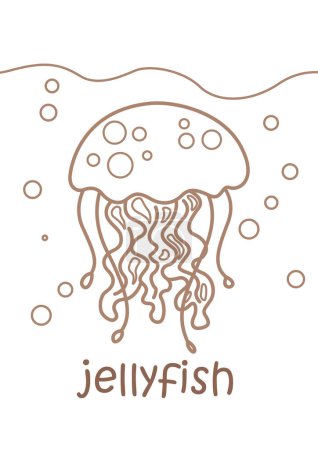 Alphabet J For Jellyfish Vocabulary School Lesson Cartoon Coloring Activity for Kids and Adult