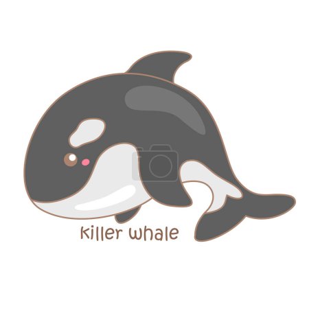 Alphabet K For Killer Whale Vocabulary School Lesson Cartoon Illustration Vector Clipart Sticker Decoration Background