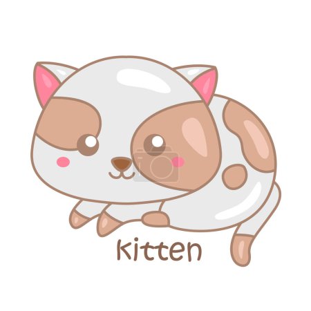 Alphabet K For Kitten Vocabulary School Lesson Cartoon Illustration Vector Clipart Sticker Decoration Background