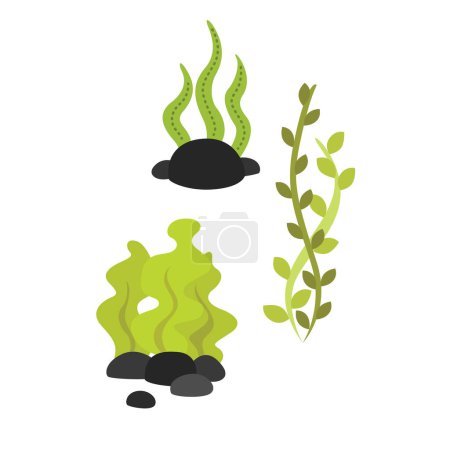 Unterwasserpflanzen Natur Blätter Cartoon Illustration Vektor Cliparts Aufkleber Dekoration Hintergrund