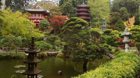 Téléchargez les photos : Pagode japonaise, entourée d'arbres, à côté d'un étang entouré de bonsaïs, offrant un sentiment de paix et de tranquillité. - en image libre de droit