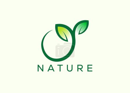 Plantilla de vector de diseño de logotipo de hoja verde. Naturaleza Crecimiento Hoja vector logo.