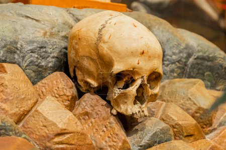 Photo for Human skull that symbolizes mortality, the passage of time. Death is more powerful than life. - Royalty Free Image