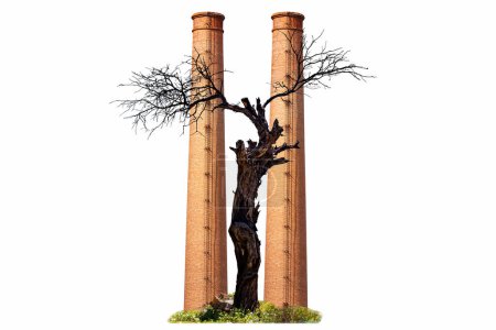 Illustration with a dry tree in the foreground and two industrial chimneys in the background. Concept of pollution, global warming and destruction.