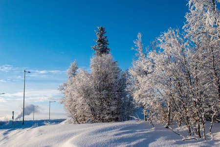 Foto de Vista panorámica idílica de un hermoso paisaje de país de las maravillas de invierno blanco en Escandinavia con la luz dorada escénica de la noche al atardecer en invierno, norte de Europa. Laponia sueca. - Imagen libre de derechos