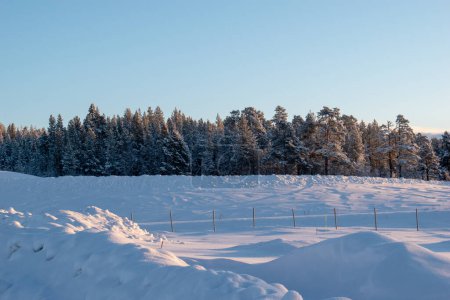 Paysage hivernal, Réserve naturelle, Laponie, Laponie, Norrbotten Laponie Suède Hiver arctique