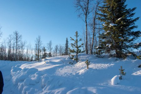 Winter landscape, nature reserve, laponian area, laponia, Norrbotten Lapland Sweden Arctic winter