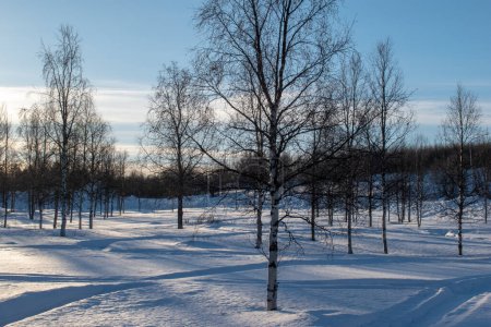 Paisaje invernal, reserva natural, área lapónica, laponia, Laponia Norrbotten Laponia Suecia Invierno ártico