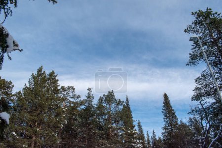 Winter landscape, nature reserve, laponian area, laponia, Norrbotten Lapland Sweden Arctic winter