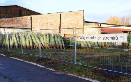 Foto de Venta de árboles de Navidad, signo 'Prodej vanocnich stromku' - Imagen libre de derechos