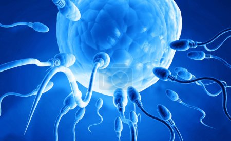 Téléchargez les photos : Sperme avec oeuf sur fond bleu. Illustration 3d - en image libre de droit