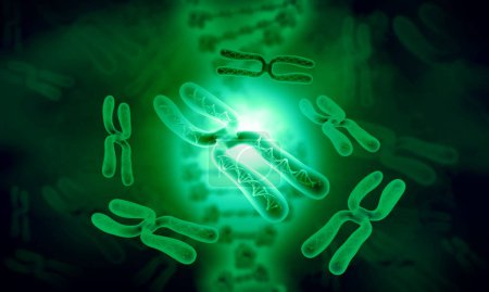 Foto de Cromosoma sobre fondo sicience. ilustración 3d - Imagen libre de derechos
