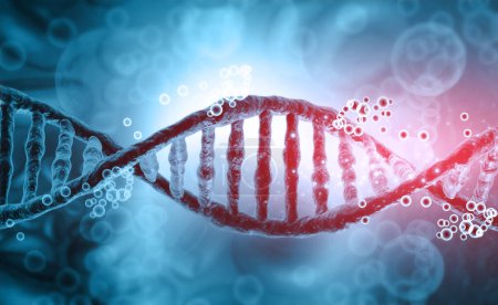Téléchargez les photos : ADN humain avec une formation scientifique. Illustration 3d - en image libre de droit