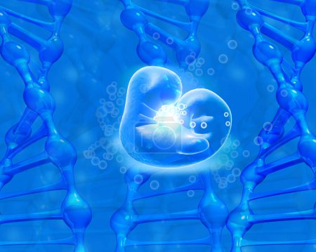 Photo for Anatomy of fetus with dna  medical background. 3d render - Royalty Free Image