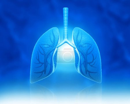 Menschliche Lungen mit medizinischem Hintergrund. 3D-Illustration