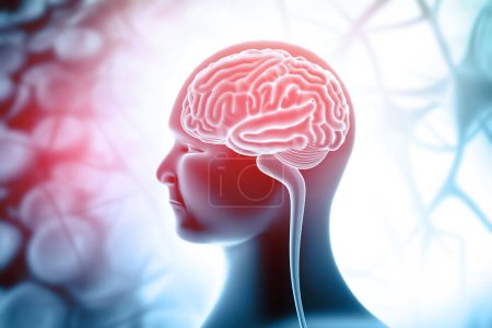 Téléchargez les photos : Anatomie cérébrale humaine sur fond médical. Illustration 3d - en image libre de droit