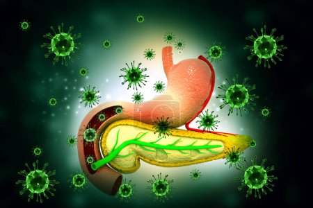 Foto de Infección viral del páncreas. Formación médica. ilustración 3d - Imagen libre de derechos