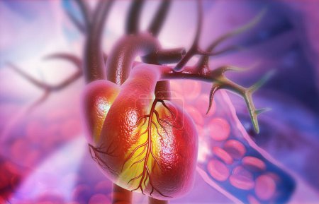 Téléchargez les photos : Anatomie du cœur humain avec des globules rouges. Illustration 3d - en image libre de droit