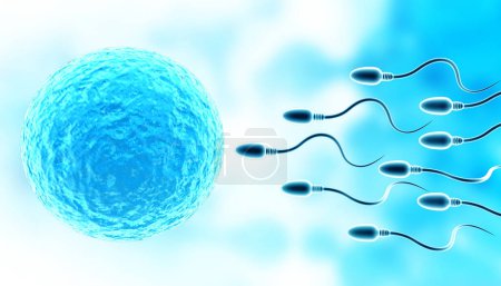 Téléchargez les photos : Sperme avec oeuf sur fond médical abstrait. Illustration 3d - en image libre de droit