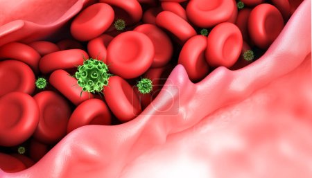 Foto de Virus que infecta las células sanguíneas en el torrente venoso. ilustración 3d - Imagen libre de derechos