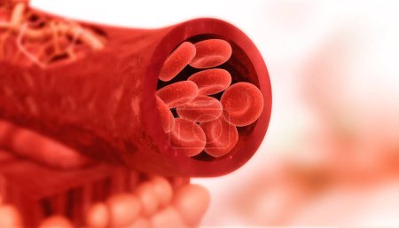 Foto de Células sanguíneas en arteria. ilustración 3d - Imagen libre de derechos