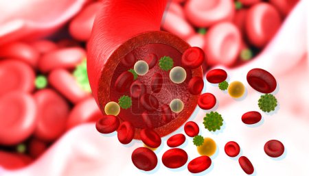 Foto de Virus que infecta las células sanguíneas en el torrente venoso. ilustración 3d - Imagen libre de derechos