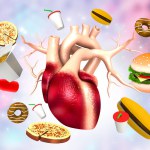 Human heart anatomy  with fast foods. Unhealthy diet concept. 3d illustration	