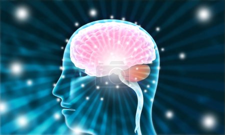 Foto de Cerebro humano con señales químicas eléctricas.Cerebro humano activo sobre fondo digial. ilustración 3d - Imagen libre de derechos