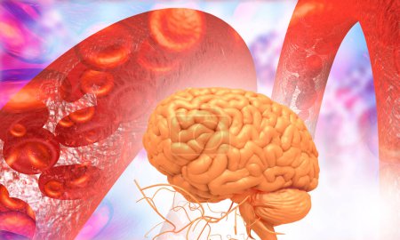 Foto de Cerebro humano con corriente sanguínea. ilustración 3d - Imagen libre de derechos
