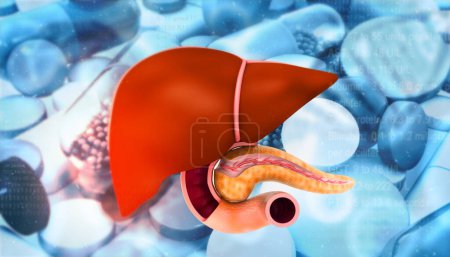Photo for Human liver with pills on medicine background. 3d illustration - Royalty Free Image