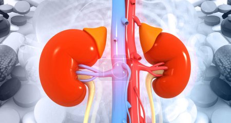 Human kidney with medicines. medical science background. 3d illustration