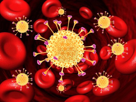Foto de Virus, bacterias en la sangre. Formación en ciencias médicas - Imagen libre de derechos