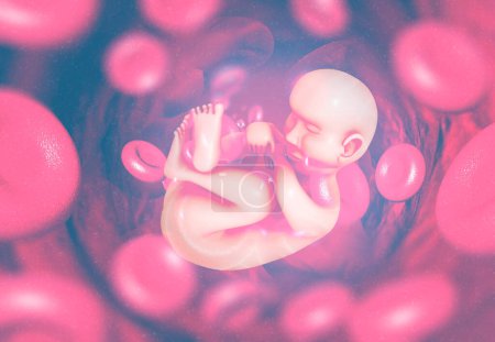 Photo for Human fetus on scientific background. 3d illustration - Royalty Free Image